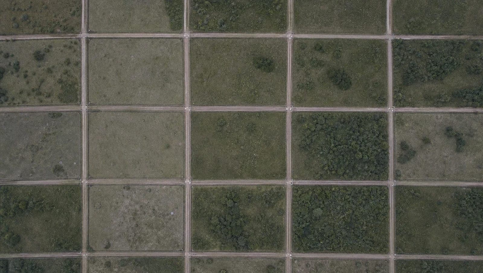 Vista aérea cenital de un campo subdividido en lotes iguales, separados por caminos de tierra que forman una retícula