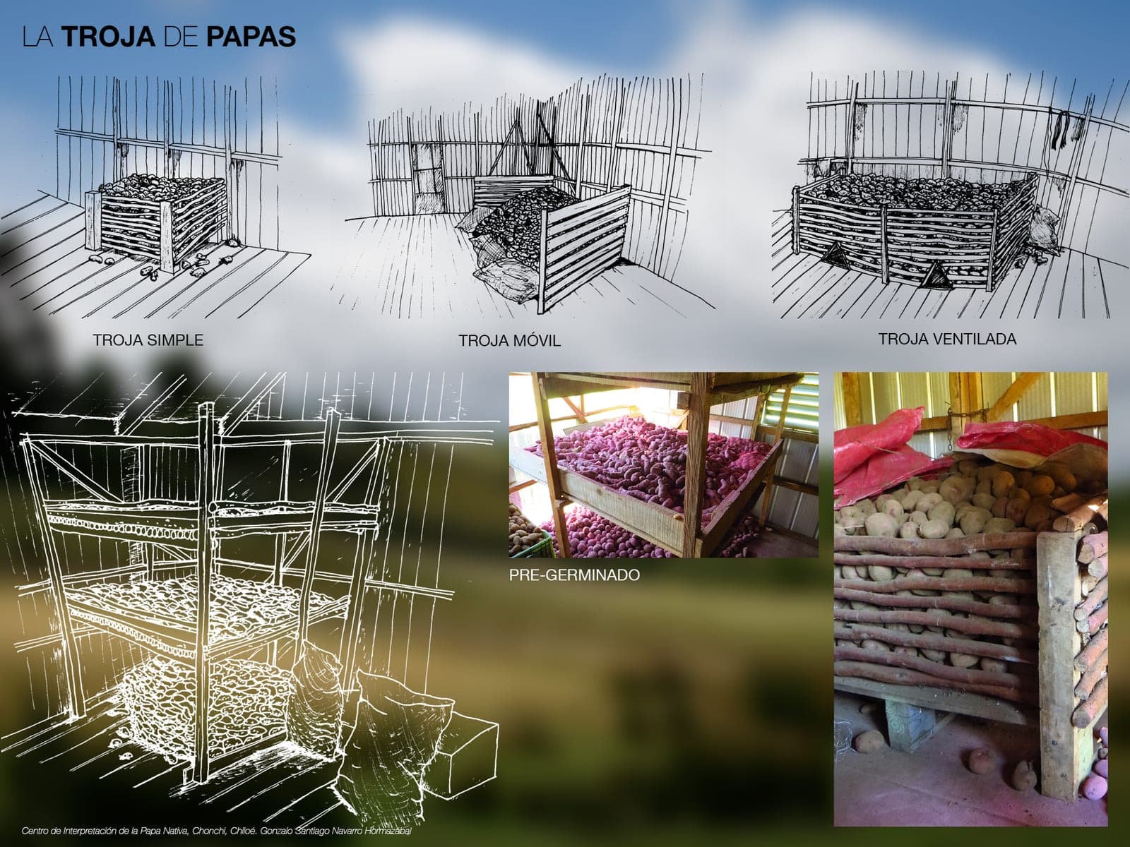 Diagrams of three kinds of storage crib —simple, mobile and ventilated— alongside photographs of stored potatoes and the terraced seed rack